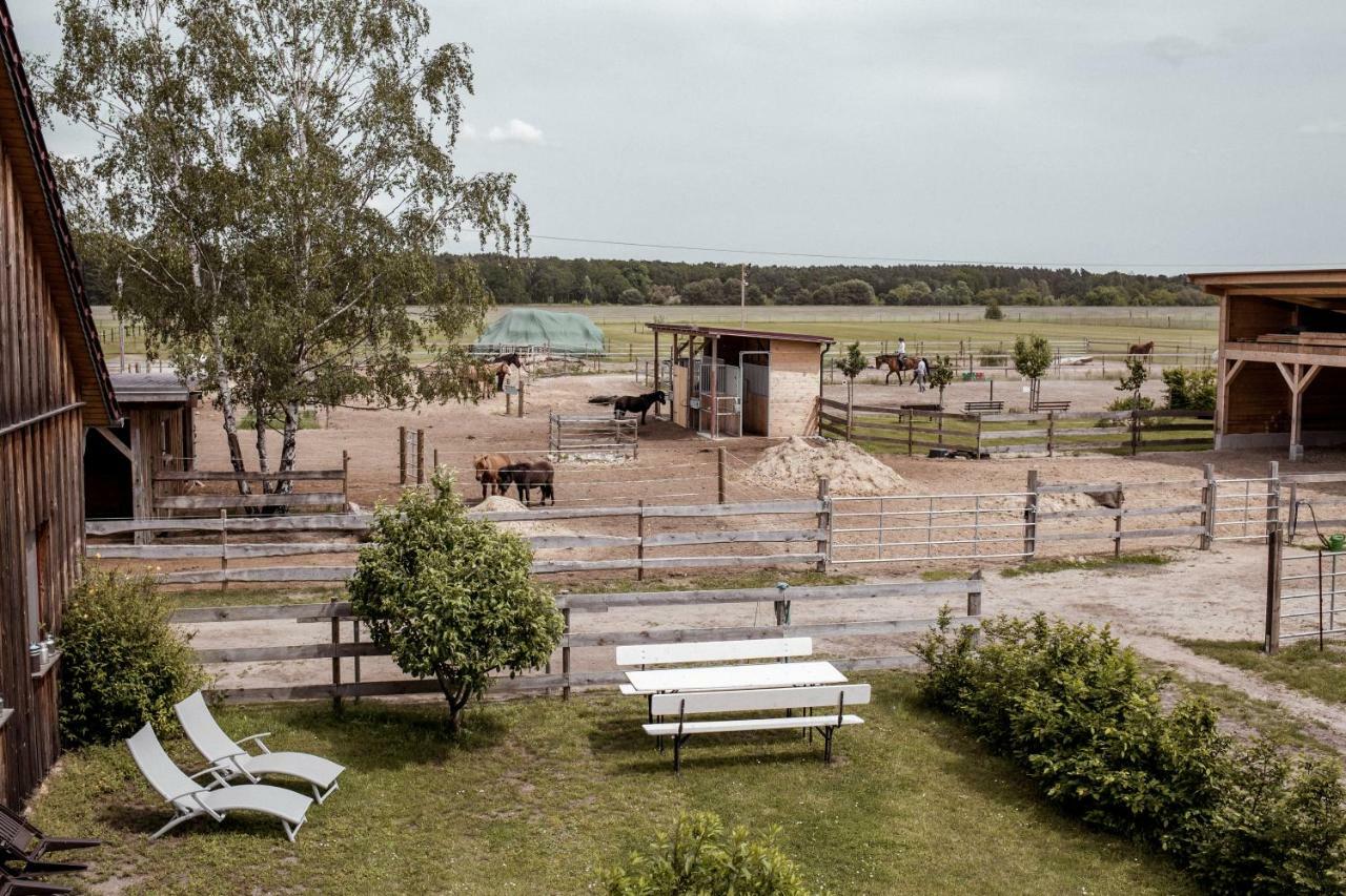 Suedhof Doebbrick - Ferienhof Fuer Familienurlaub Lejlighed Cottbus Eksteriør billede